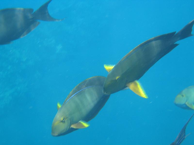 trip_bali 275 
